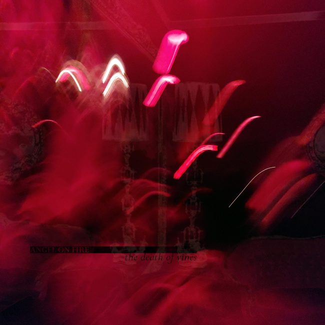 (angel on fire) - the death of vines (front cover)